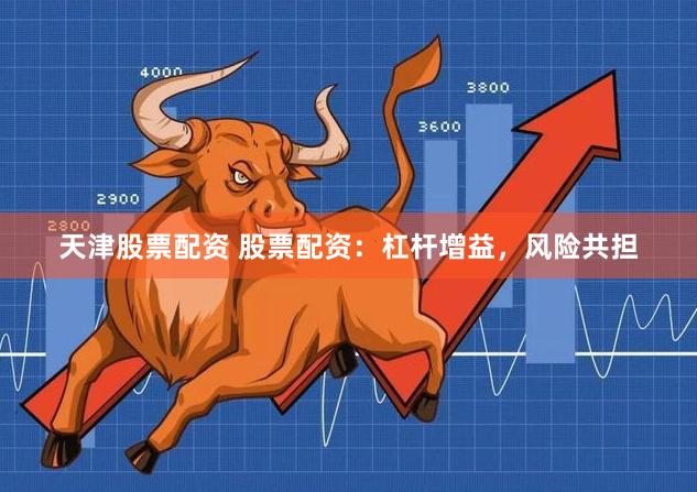 天津股票配资 股票配资：杠杆增益，风险共担