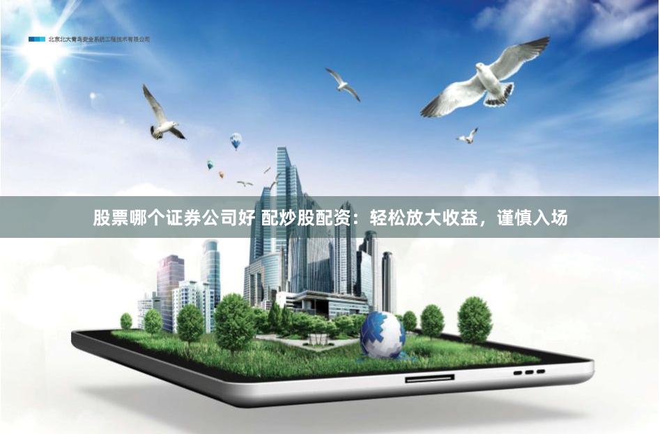 股票哪个证券公司好 配炒股配资：轻松放大收益，谨慎入场